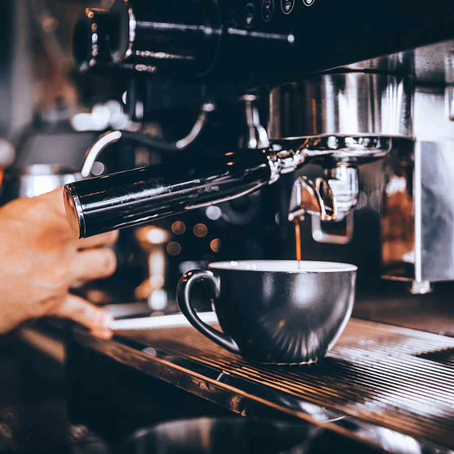 Barista Intensivkurs