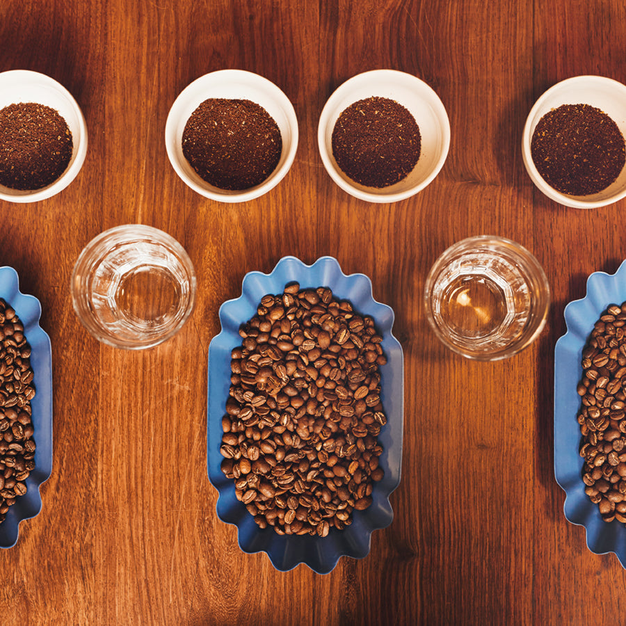 Sensorik Kurs Professional