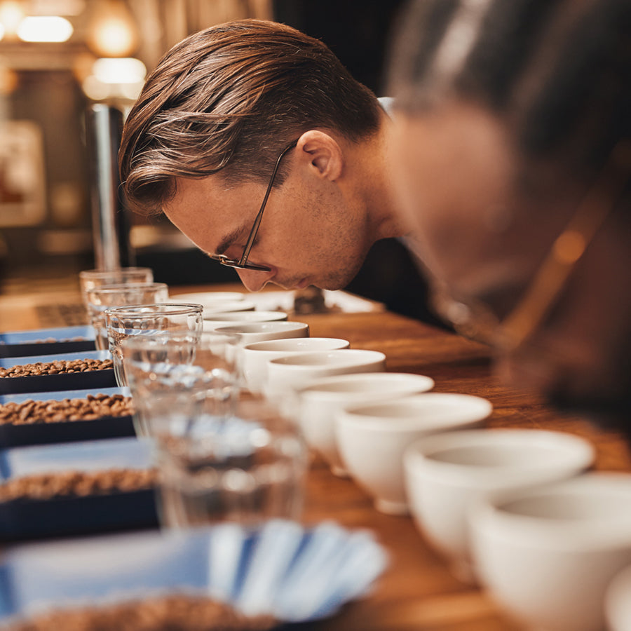 Sensorik Kurs Intensiv