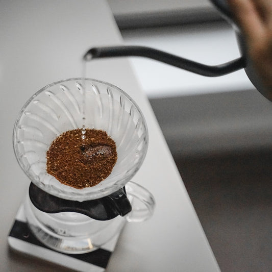 Filterkaffee Kurs